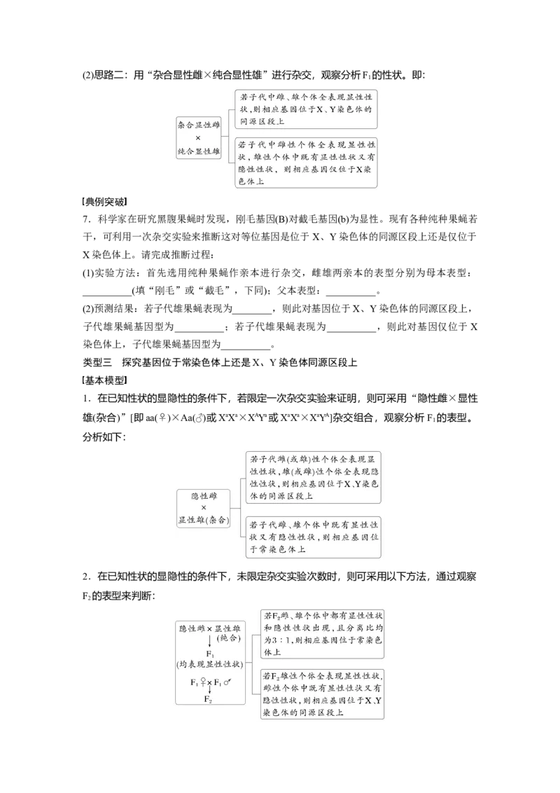 第五单元　专题突破8　基因在性染色体上的位置判断_2025年新高考资料_一轮复习_2025大一轮复习讲义+课件（完结）_2025大一轮复习讲义生物学生用书Word版文档整书_2025大一轮复习讲义