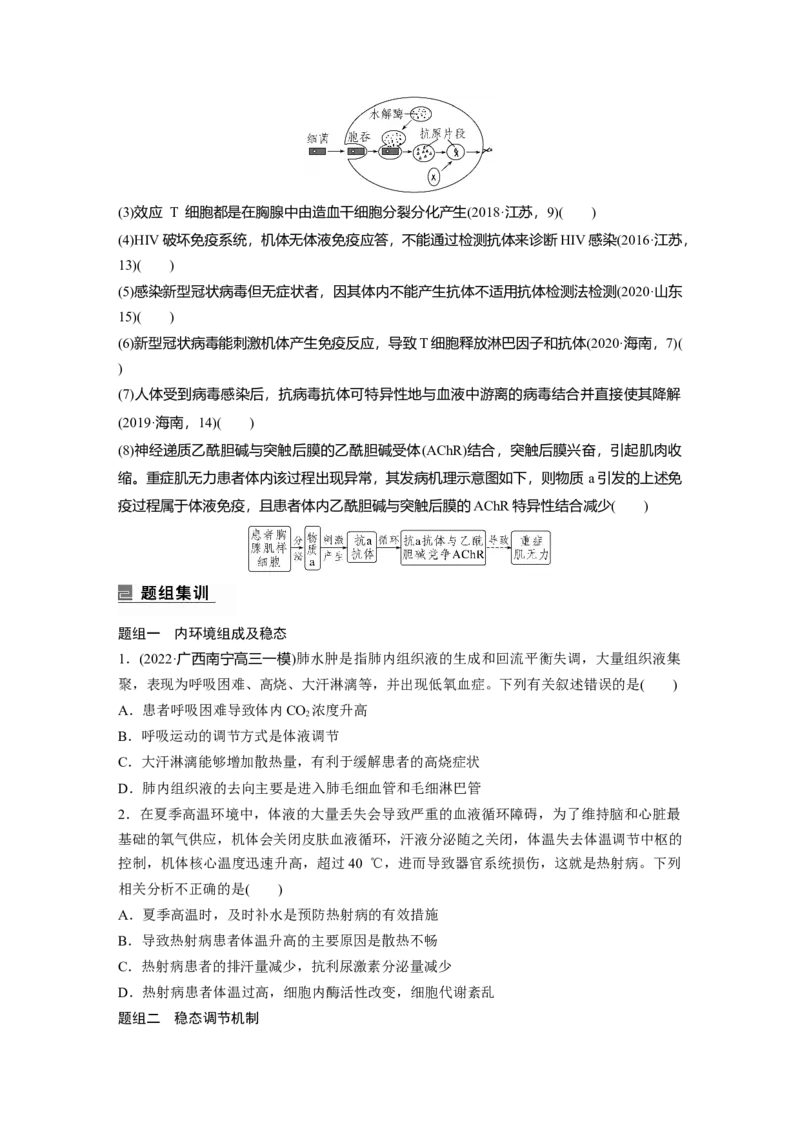 第一篇专题六考点一　动物个体的稳态与调节_通用版（老高考）复习资料_2023年复习资料_二轮复习_2023年高考生物二轮复习讲义+课件（全国版）_2023年高考生物二轮复习讲义（全国版）