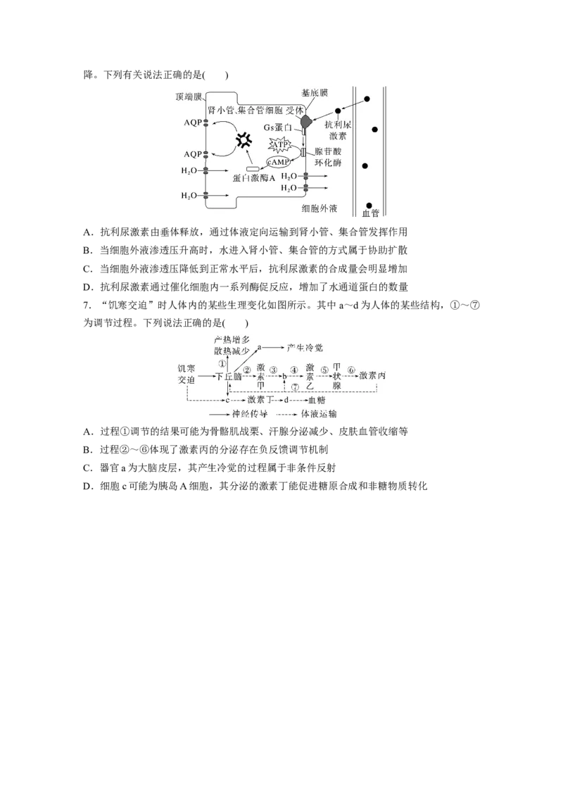 第一篇专题六考点一　动物个体的稳态与调节_通用版（老高考）复习资料_2023年复习资料_二轮复习_2023年高考生物二轮复习讲义+课件（全国版）_2023年高考生物二轮复习讲义（全国版）