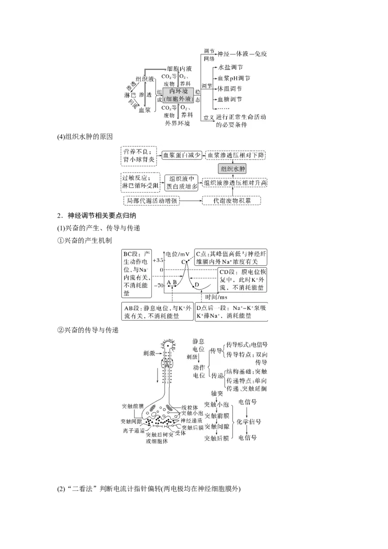 第一篇专题六考点一　动物个体的稳态与调节_通用版（老高考）复习资料_2023年复习资料_二轮复习_2023年高考生物二轮复习讲义+课件（全国版）_2023年高考生物二轮复习讲义（全国版）