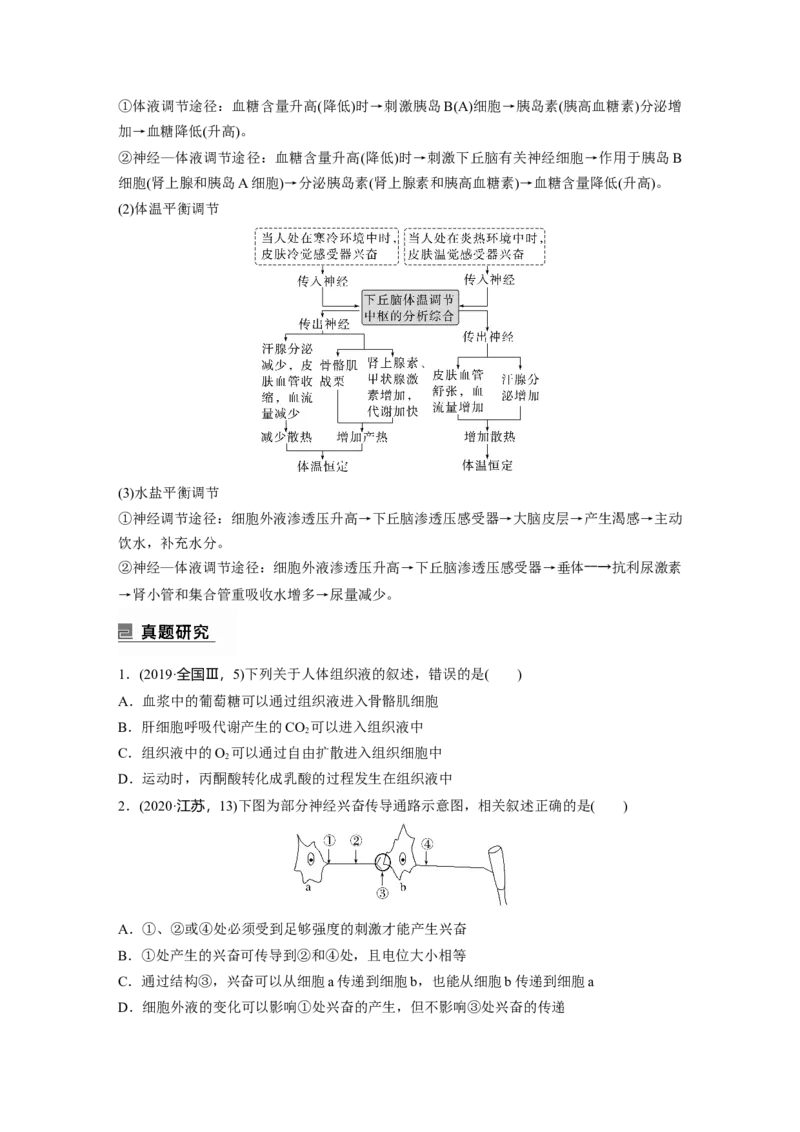 第一篇专题六考点一　动物个体的稳态与调节_通用版（老高考）复习资料_2023年复习资料_二轮复习_2023年高考生物二轮复习讲义+课件（全国版）_2023年高考生物二轮复习讲义（全国版）
