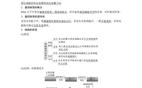 第七单元　第33课时　基因突变和基因重组_新高考复习资料_2025年新高考资料_2025新高考一轮复习生物_2025大一轮复习讲义生物人教版教师用书Word版文档整书