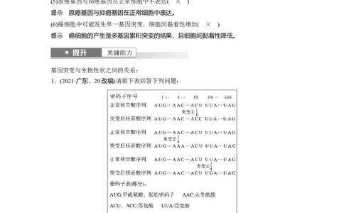 第七单元　第33课时　基因突变和基因重组_新高考复习资料_2025年新高考资料_2025新高考一轮复习生物_2025大一轮复习讲义生物人教版教师用书Word版文档整书
