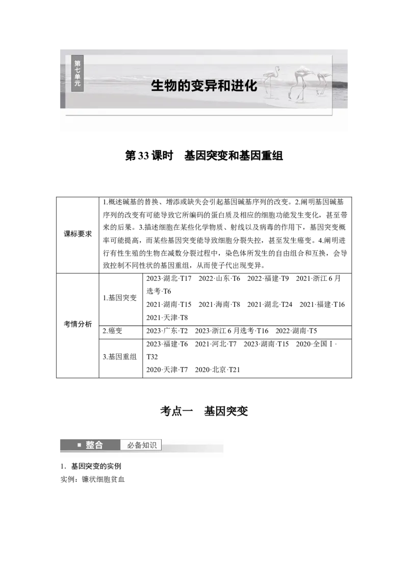 第七单元　第33课时　基因突变和基因重组_新高考复习资料_2025年新高考资料_2025新高考一轮复习生物_2025大一轮复习讲义生物人教版教师用书Word版文档整书