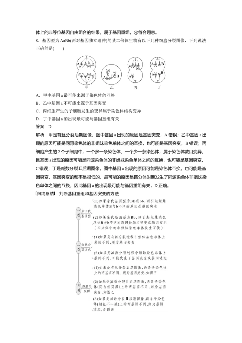 第七单元　第33课时　基因突变和基因重组_新高考复习资料_2025年新高考资料_2025新高考一轮复习生物_2025大一轮复习讲义生物人教版教师用书Word版文档整书