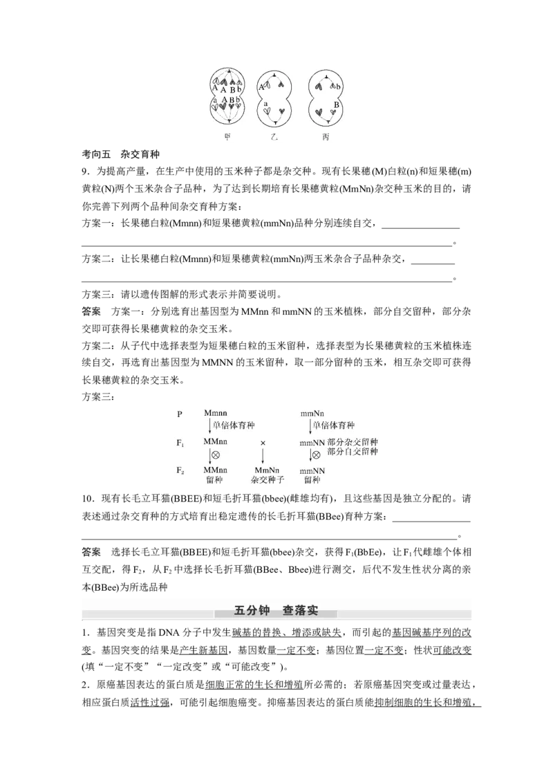 第七单元　第33课时　基因突变和基因重组_新高考复习资料_2025年新高考资料_2025新高考一轮复习生物_2025大一轮复习讲义生物人教版教师用书Word版文档整书