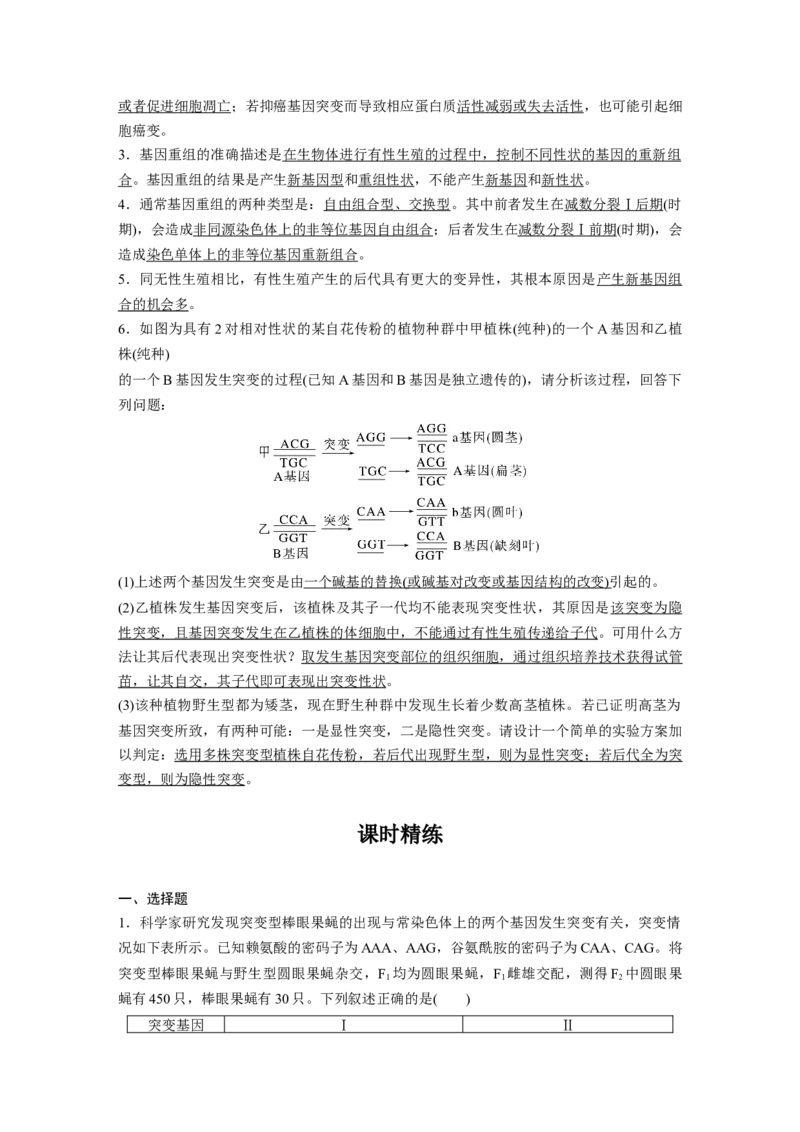 第七单元　第33课时　基因突变和基因重组_新高考复习资料_2025年新高考资料_2025新高考一轮复习生物_2025大一轮复习讲义生物人教版教师用书Word版文档整书