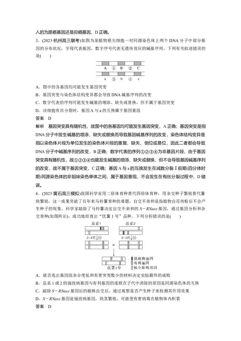 第七单元　第33课时　基因突变和基因重组_新高考复习资料_2025年新高考资料_2025新高考一轮复习生物_2025大一轮复习讲义生物人教版教师用书Word版文档整书