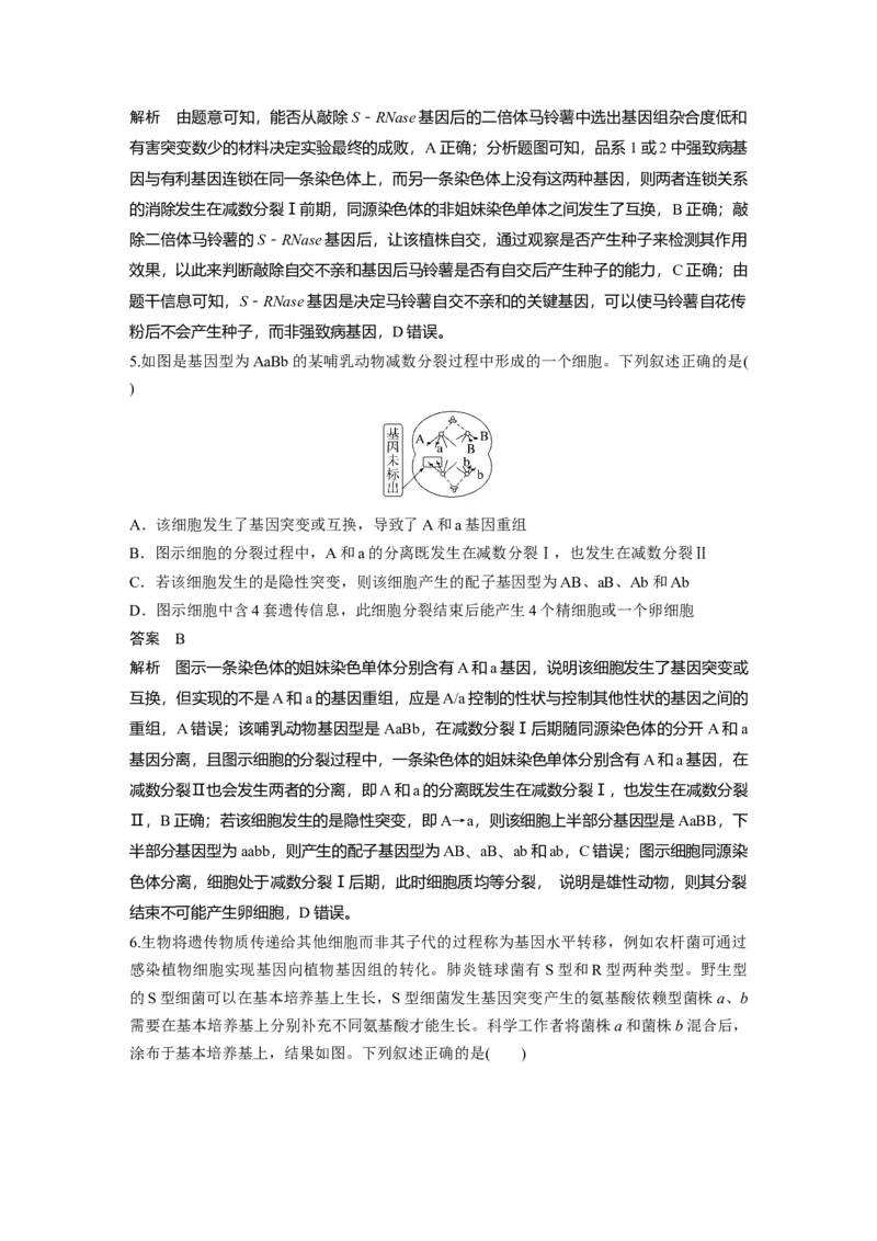 第七单元　第33课时　基因突变和基因重组_新高考复习资料_2025年新高考资料_2025新高考一轮复习生物_2025大一轮复习讲义生物人教版教师用书Word版文档整书