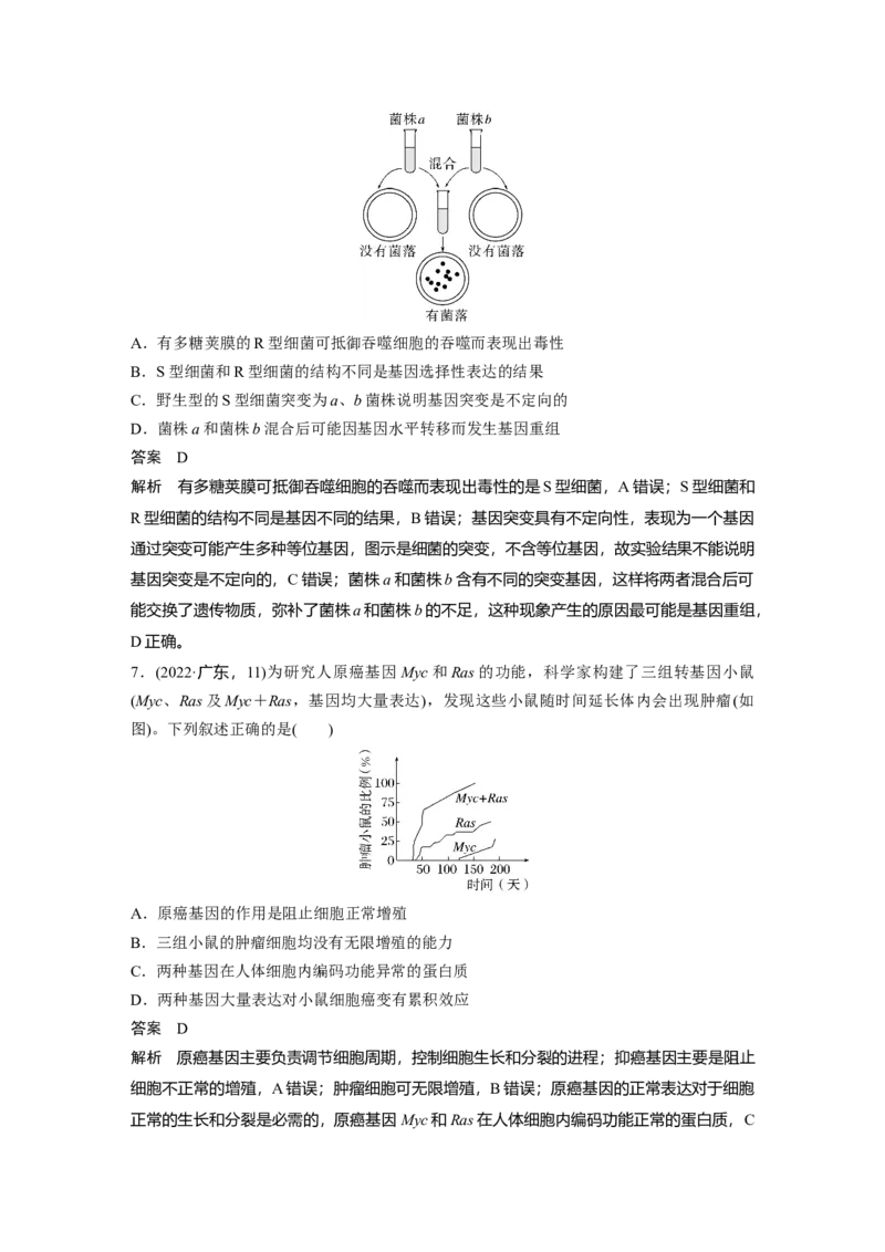第七单元　第33课时　基因突变和基因重组_新高考复习资料_2025年新高考资料_2025新高考一轮复习生物_2025大一轮复习讲义生物人教版教师用书Word版文档整书
