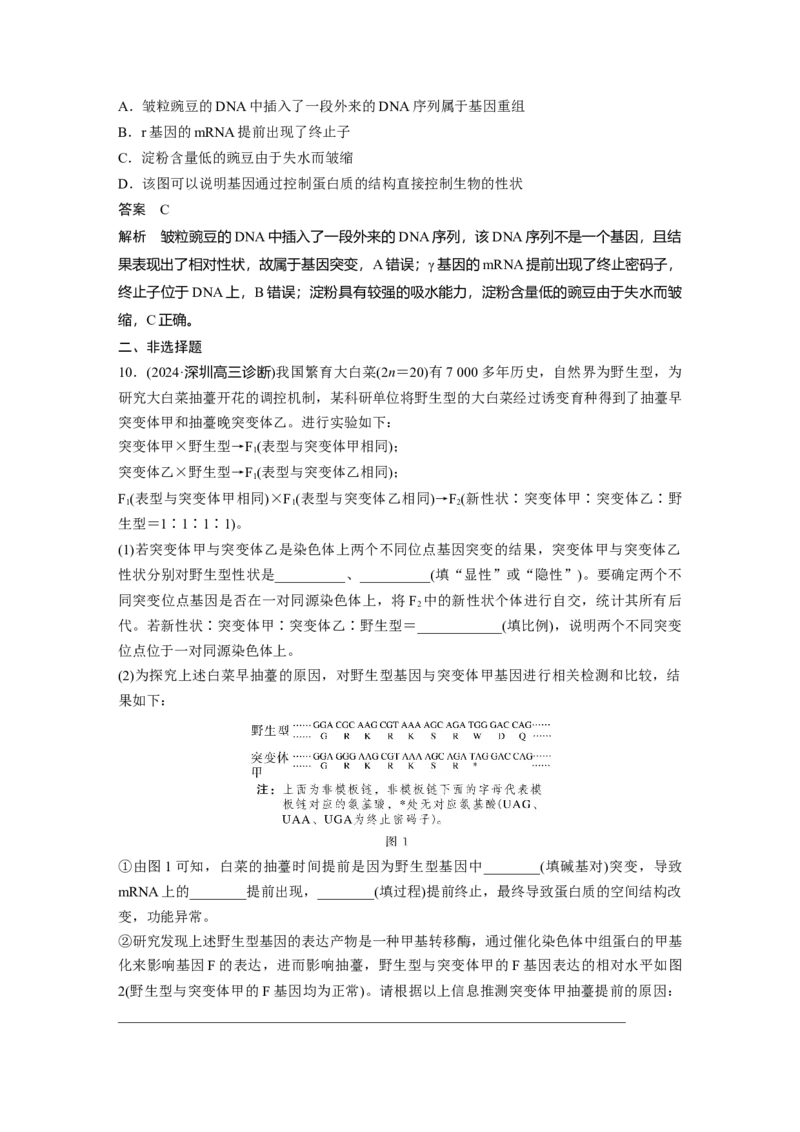 第七单元　第33课时　基因突变和基因重组_新高考复习资料_2025年新高考资料_2025新高考一轮复习生物_2025大一轮复习讲义生物人教版教师用书Word版文档整书