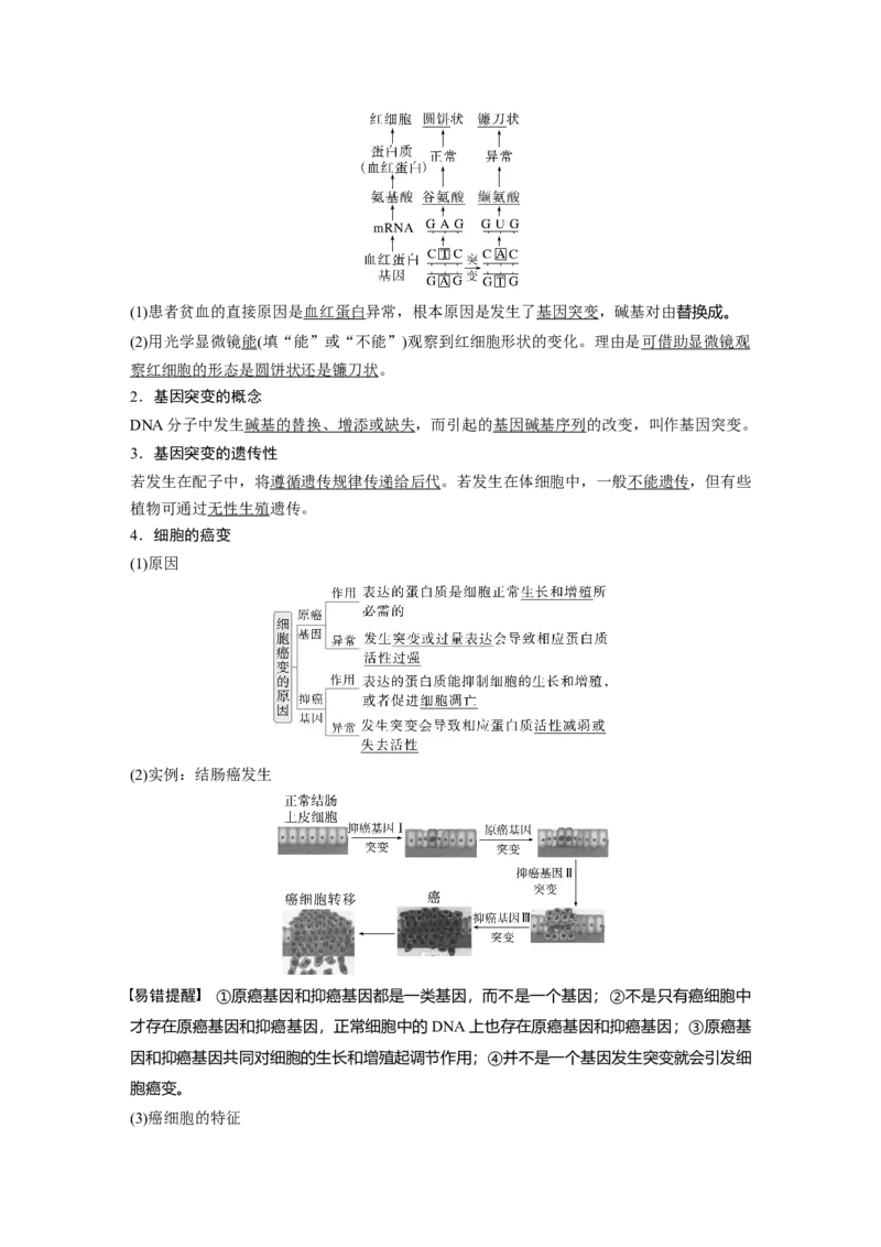第七单元　第33课时　基因突变和基因重组_新高考复习资料_2025年新高考资料_2025新高考一轮复习生物_2025大一轮复习讲义生物人教版教师用书Word版文档整书