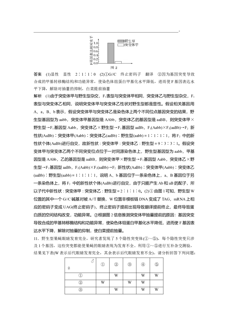 第七单元　第33课时　基因突变和基因重组_新高考复习资料_2025年新高考资料_2025新高考一轮复习生物_2025大一轮复习讲义生物人教版教师用书Word版文档整书