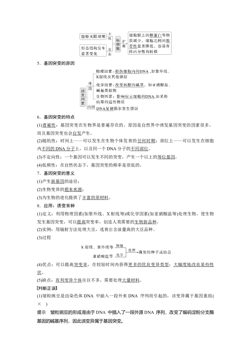 第七单元　第33课时　基因突变和基因重组_新高考复习资料_2025年新高考资料_2025新高考一轮复习生物_2025大一轮复习讲义生物人教版教师用书Word版文档整书