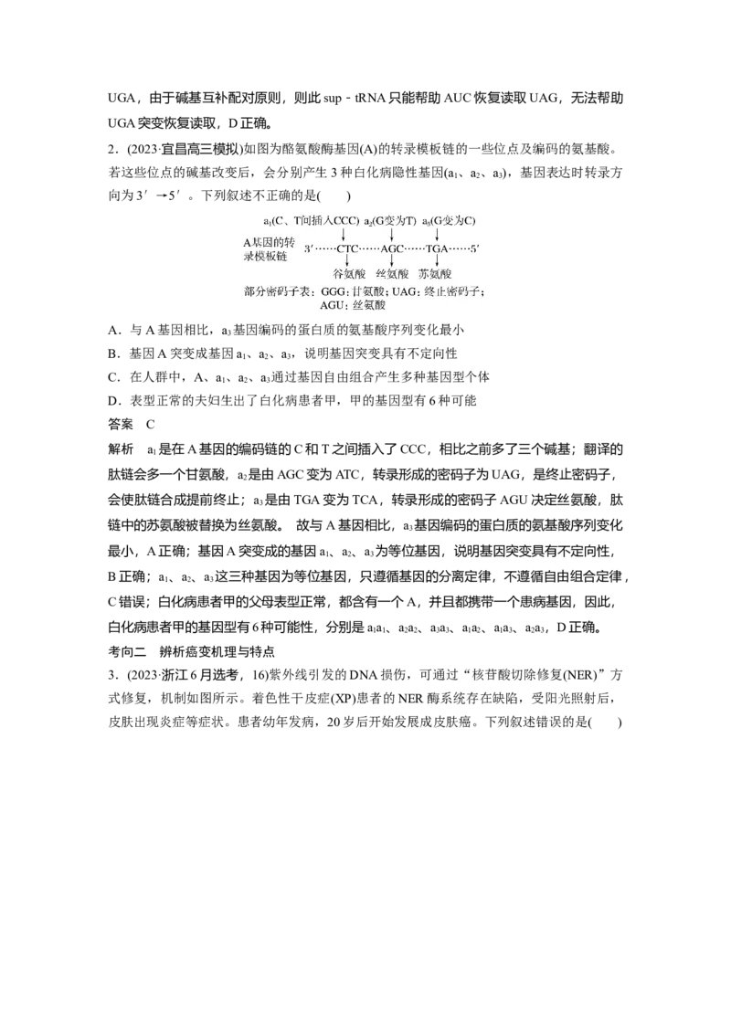 第七单元　第33课时　基因突变和基因重组_新高考复习资料_2025年新高考资料_2025新高考一轮复习生物_2025大一轮复习讲义生物人教版教师用书Word版文档整书