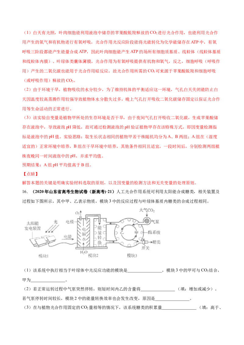 第三单元光合作用与细胞呼吸（作业）_新高考复习资料_2022年新高考复习资料_2022届一轮复习讲练结合7.13更新_系列一_第三单元光合作用与细胞呼吸