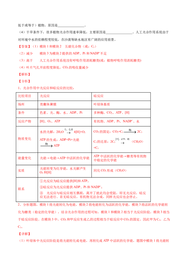 第三单元光合作用与细胞呼吸（作业）_新高考复习资料_2022年新高考复习资料_2022届一轮复习讲练结合7.13更新_系列一_第三单元光合作用与细胞呼吸