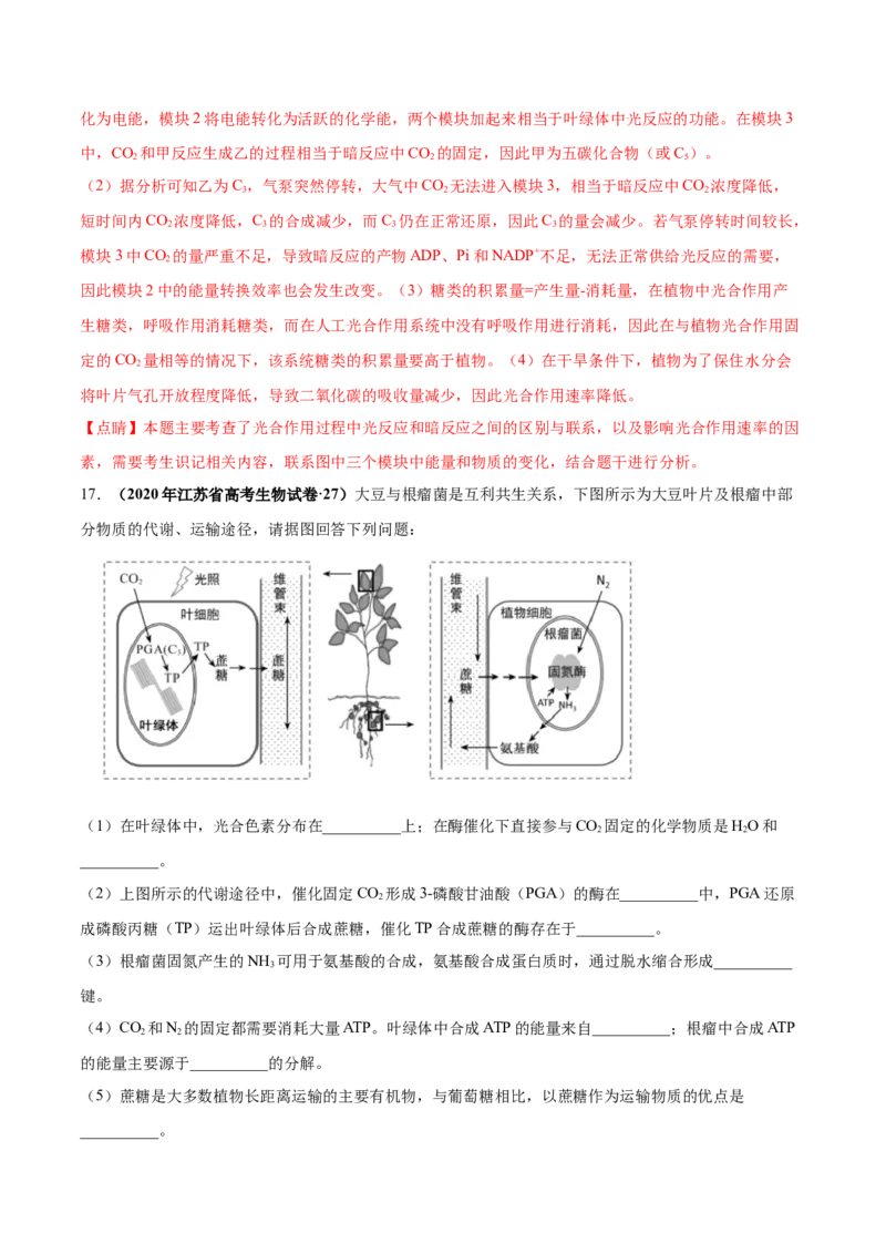 第三单元光合作用与细胞呼吸（作业）_新高考复习资料_2022年新高考复习资料_2022届一轮复习讲练结合7.13更新_系列一_第三单元光合作用与细胞呼吸