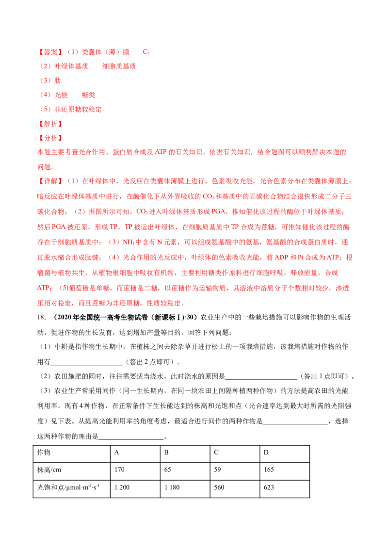 第三单元光合作用与细胞呼吸（作业）_新高考复习资料_2022年新高考复习资料_2022届一轮复习讲练结合7.13更新_系列一_第三单元光合作用与细胞呼吸