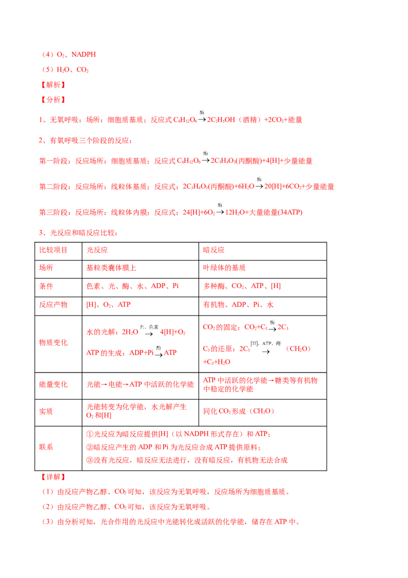 第三单元光合作用与细胞呼吸（作业）_新高考复习资料_2022年新高考复习资料_2022届一轮复习讲练结合7.13更新_系列一_第三单元光合作用与细胞呼吸