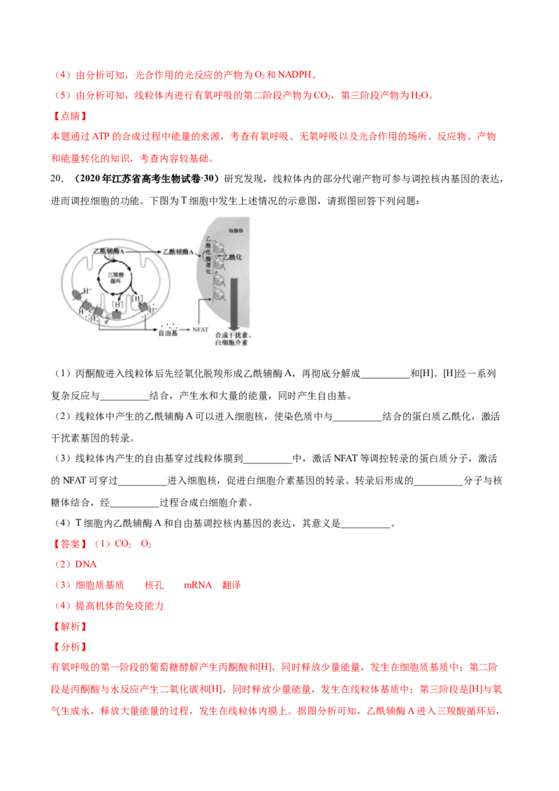 第三单元光合作用与细胞呼吸（作业）_新高考复习资料_2022年新高考复习资料_2022届一轮复习讲练结合7.13更新_系列一_第三单元光合作用与细胞呼吸