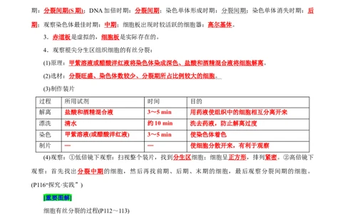 第6章细胞的生命历程（背诵版）_2025年新高考资料_专项复习_晨读晚默备战2025年高考生物必背知识清单_第6章细胞的生命历程-晨读晚默备战2025年高考生物必背知识清单