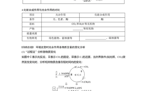 第三单元　第16课时　光合作用的原理_2025年新高考资料_一轮复习_2025大一轮复习讲义+课件（完结）_2025大一轮复习讲义生物学生用书Word版文档整书_2025大一轮复习讲义