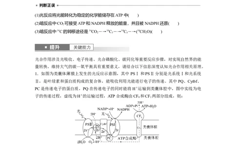 第三单元　第16课时　光合作用的原理_2025年新高考资料_一轮复习_2025大一轮复习讲义+课件（完结）_2025大一轮复习讲义生物学生用书Word版文档整书_2025大一轮复习讲义