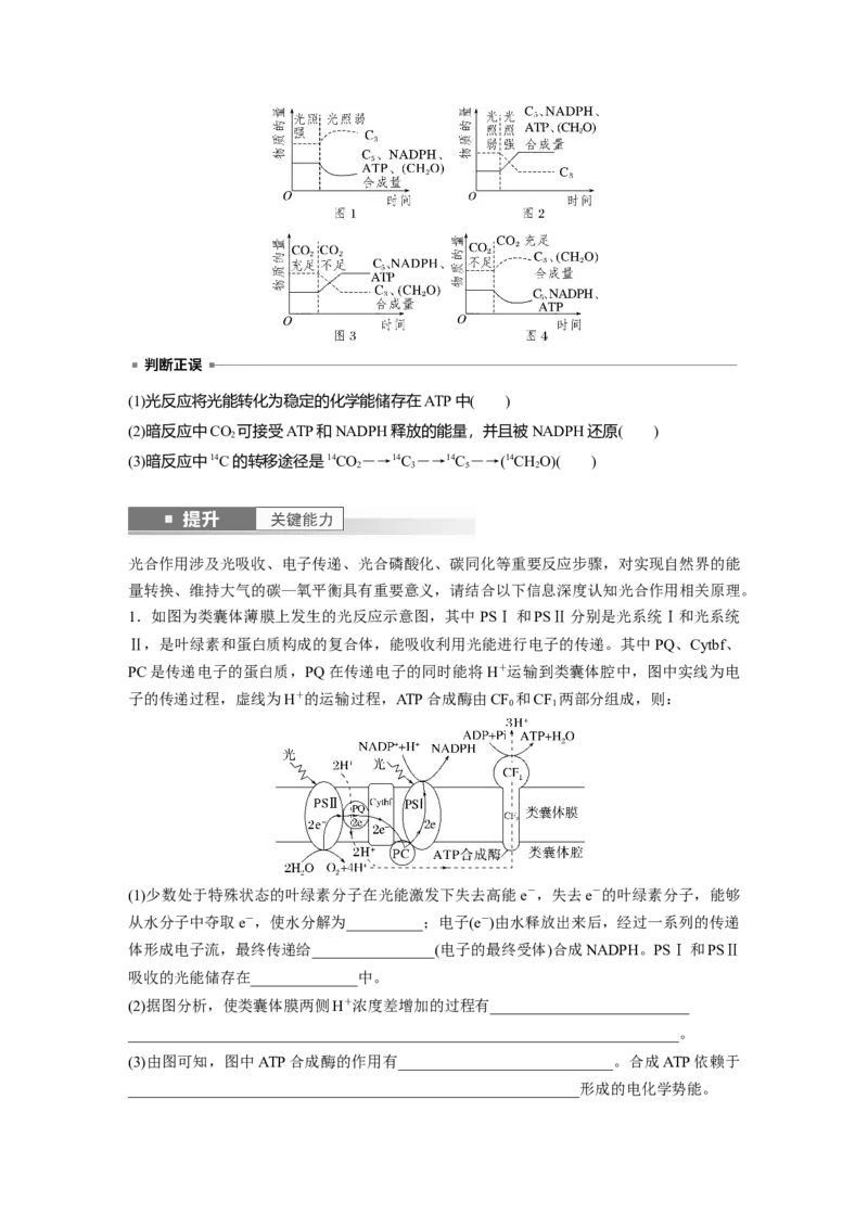 第三单元　第16课时　光合作用的原理_2025年新高考资料_一轮复习_2025大一轮复习讲义+课件（完结）_2025大一轮复习讲义生物学生用书Word版文档整书_2025大一轮复习讲义