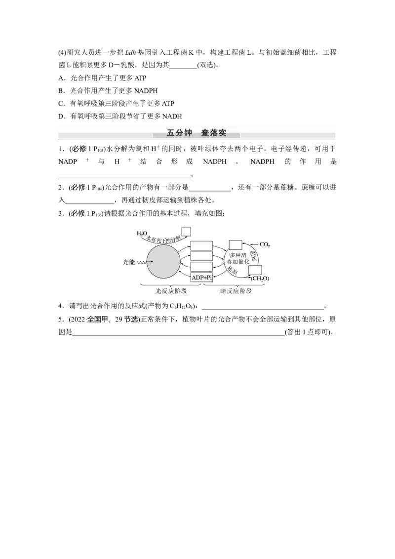 第三单元　第16课时　光合作用的原理_2025年新高考资料_一轮复习_2025大一轮复习讲义+课件（完结）_2025大一轮复习讲义生物学生用书Word版文档整书_2025大一轮复习讲义