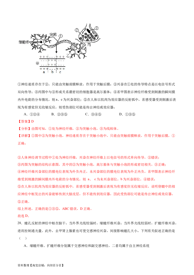 第八单元稳态与调节（测试）（解析版）_新高考复习资料_2024年新高考复习资料_一轮复习资料_完2024年高考生物一轮复习讲练测(课件+讲义+练习)（新高考）_单元测试