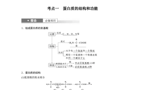 第一单元　第4课时　蛋白质是生命活动的主要承担者_2025年新高考资料_一轮复习_2025大一轮复习讲义+课件（完结）_2025大一轮复习讲义生物教师用书Word版文档整书