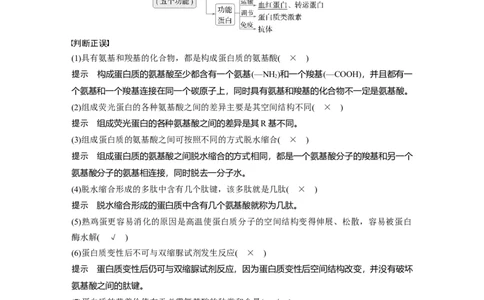 第一单元　第4课时　蛋白质是生命活动的主要承担者_2025年新高考资料_一轮复习_2025大一轮复习讲义+课件（完结）_2025大一轮复习讲义生物教师用书Word版文档整书