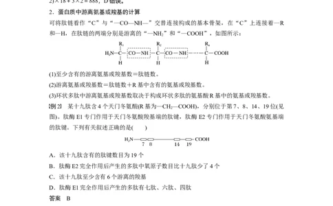 第一单元　第4课时　蛋白质是生命活动的主要承担者_2025年新高考资料_一轮复习_2025大一轮复习讲义+课件（完结）_2025大一轮复习讲义生物教师用书Word版文档整书