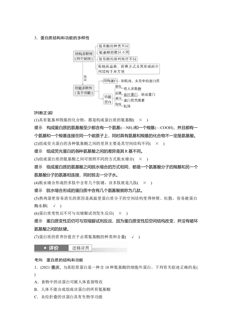 第一单元　第4课时　蛋白质是生命活动的主要承担者_2025年新高考资料_一轮复习_2025大一轮复习讲义+课件（完结）_2025大一轮复习讲义生物教师用书Word版文档整书