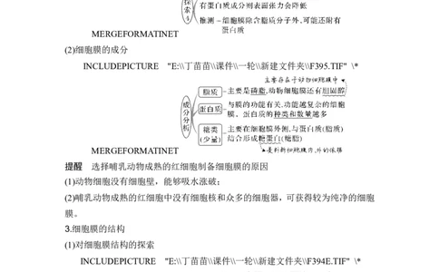 第4讲细胞膜与细胞核_新高考复习资料_2024年新高考复习资料_一轮复习资料_完2024生物步步高大一轮复习（课件+讲义）_2024年高考生物一轮复习讲义（新人教版）_另附1套Word版题库_必修1