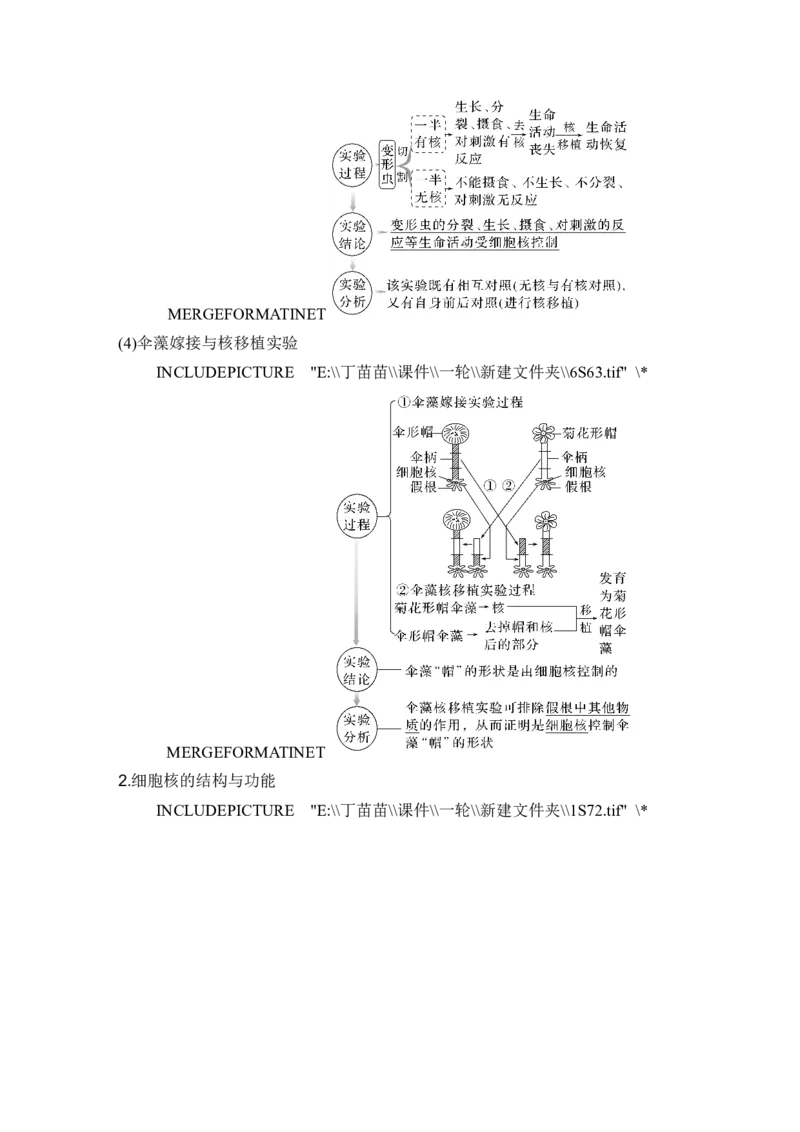 第4讲细胞膜与细胞核_新高考复习资料_2024年新高考复习资料_一轮复习资料_完2024生物步步高大一轮复习（课件+讲义）_2024年高考生物一轮复习讲义（新人教版）_另附1套Word版题库_必修1