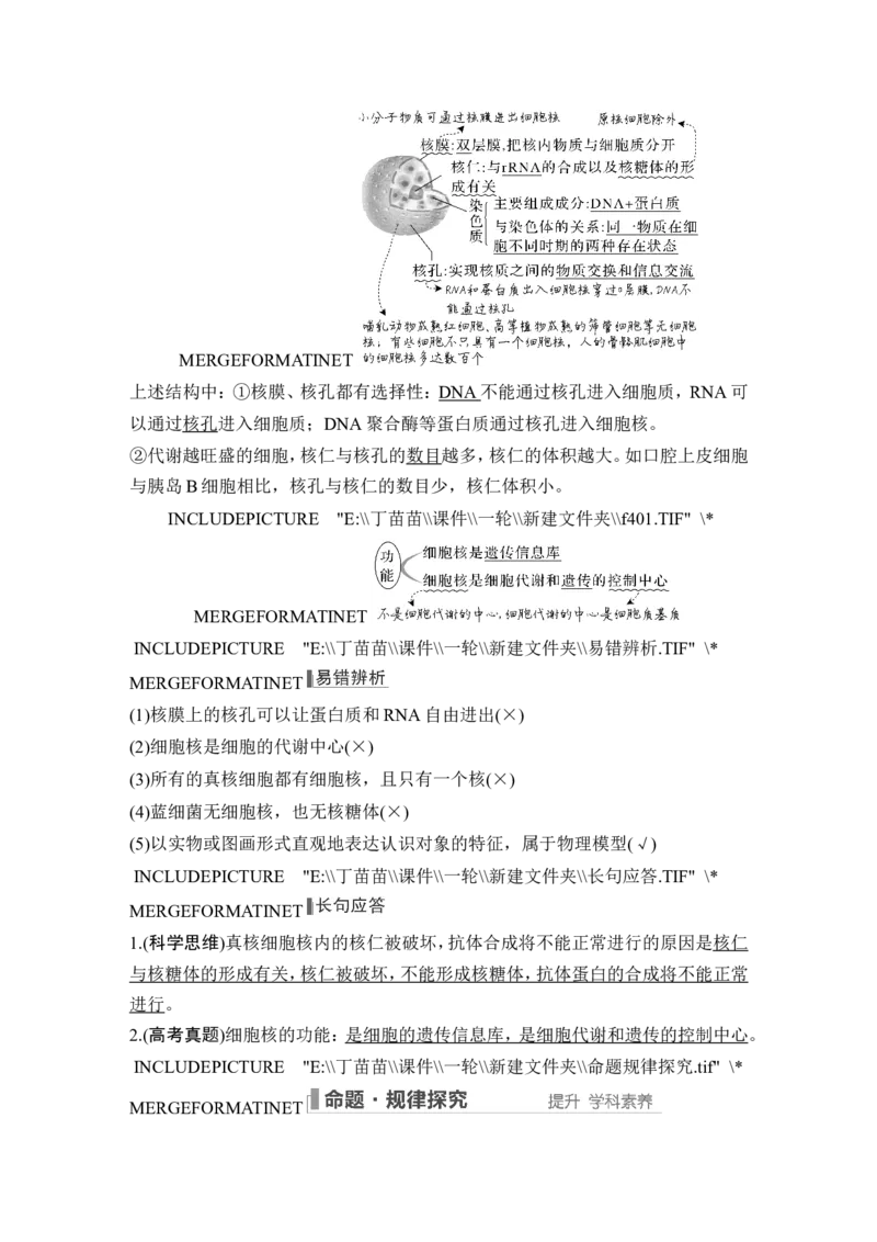 第4讲细胞膜与细胞核_新高考复习资料_2024年新高考复习资料_一轮复习资料_完2024生物步步高大一轮复习（课件+讲义）_2024年高考生物一轮复习讲义（新人教版）_另附1套Word版题库_必修1