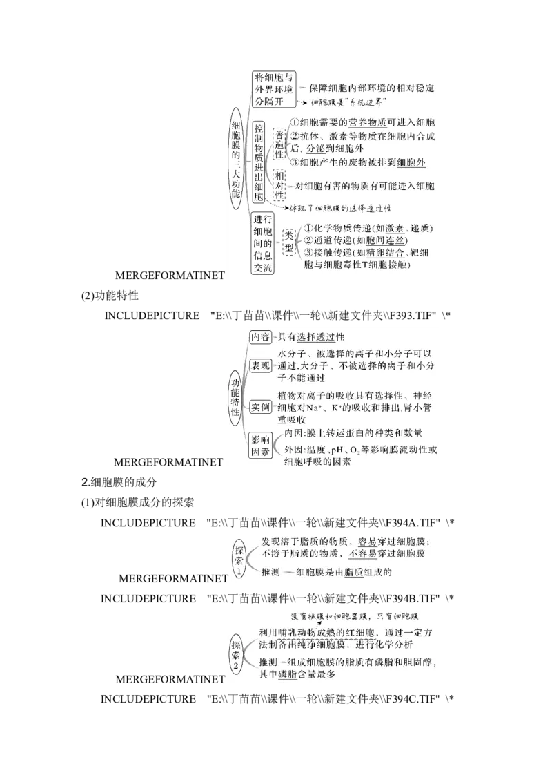 第4讲细胞膜与细胞核_新高考复习资料_2024年新高考复习资料_一轮复习资料_完2024生物步步高大一轮复习（课件+讲义）_2024年高考生物一轮复习讲义（新人教版）_另附1套Word版题库_必修1