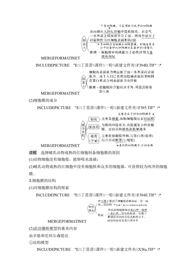 第4讲细胞膜与细胞核_新高考复习资料_2024年新高考复习资料_一轮复习资料_完2024生物步步高大一轮复习（课件+讲义）_2024年高考生物一轮复习讲义（新人教版）_另附1套Word版题库_必修1