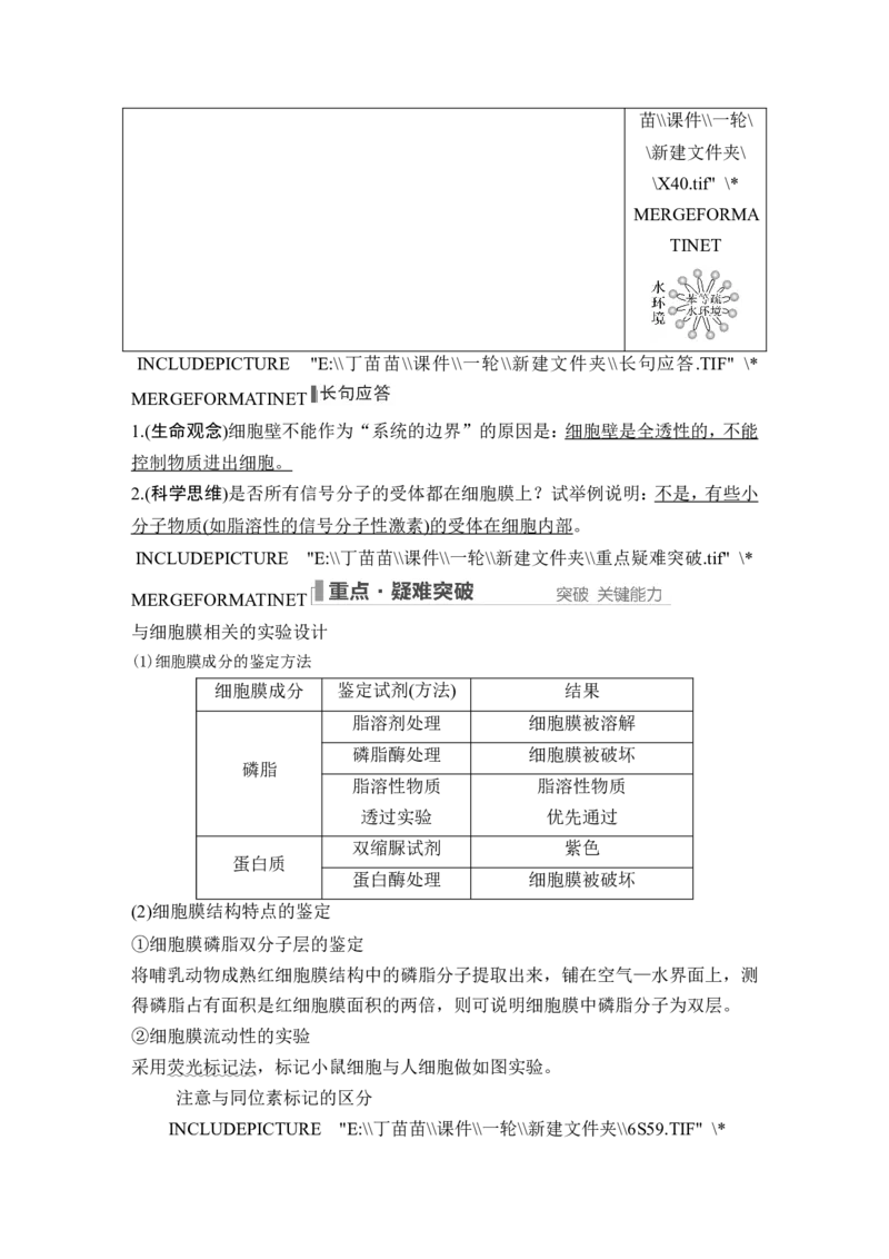 第4讲细胞膜与细胞核_新高考复习资料_2024年新高考复习资料_一轮复习资料_完2024生物步步高大一轮复习（课件+讲义）_2024年高考生物一轮复习讲义（新人教版）_另附1套Word版题库_必修1
