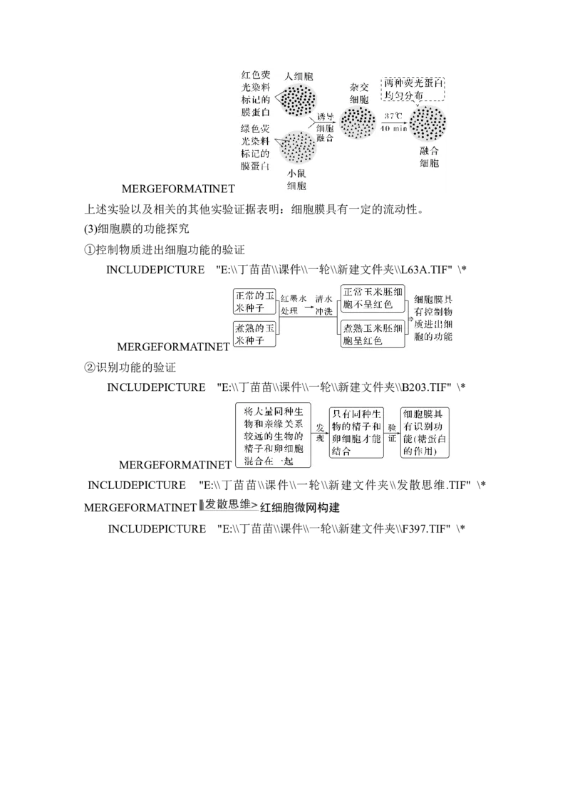 第4讲细胞膜与细胞核_新高考复习资料_2024年新高考复习资料_一轮复习资料_完2024生物步步高大一轮复习（课件+讲义）_2024年高考生物一轮复习讲义（新人教版）_另附1套Word版题库_必修1