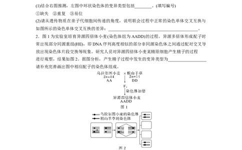 第一篇专题五语言表达(四)　变异类型的确定_通用版（老高考）复习资料_2023年复习资料_二轮复习_2023年高考生物二轮复习讲义+课件（全国版）_2023年高考生物二轮复习讲义（全国版）
