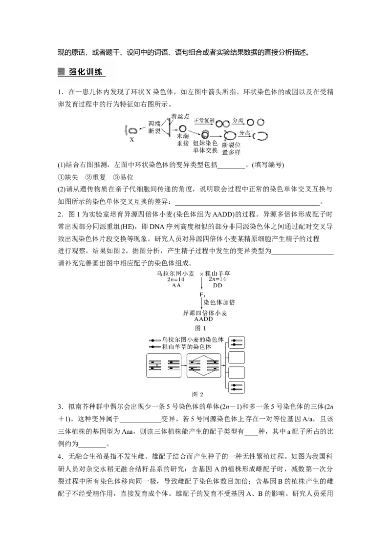 第一篇专题五语言表达(四)　变异类型的确定_通用版（老高考）复习资料_2023年复习资料_二轮复习_2023年高考生物二轮复习讲义+课件（全国版）_2023年高考生物二轮复习讲义（全国版）