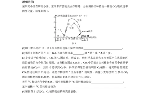 第三单元　专题突破2　不同生物固定二氧化碳的方式比较_2025年新高考资料_一轮复习_2025大一轮复习讲义+课件（完结）_2025大一轮复习讲义生物学生用书Word版文档整书
