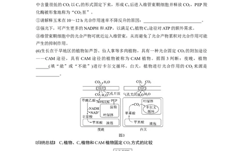 第三单元　专题突破2　不同生物固定二氧化碳的方式比较_2025年新高考资料_一轮复习_2025大一轮复习讲义+课件（完结）_2025大一轮复习讲义生物学生用书Word版文档整书
