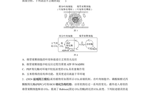 第三单元　专题突破2　不同生物固定二氧化碳的方式比较_2025年新高考资料_一轮复习_2025大一轮复习讲义+课件（完结）_2025大一轮复习讲义生物学生用书Word版文档整书