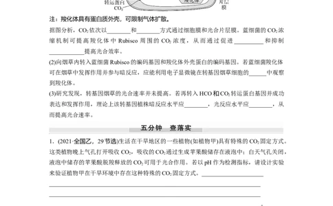 第三单元　专题突破2　不同生物固定二氧化碳的方式比较_2025年新高考资料_一轮复习_2025大一轮复习讲义+课件（完结）_2025大一轮复习讲义生物学生用书Word版文档整书