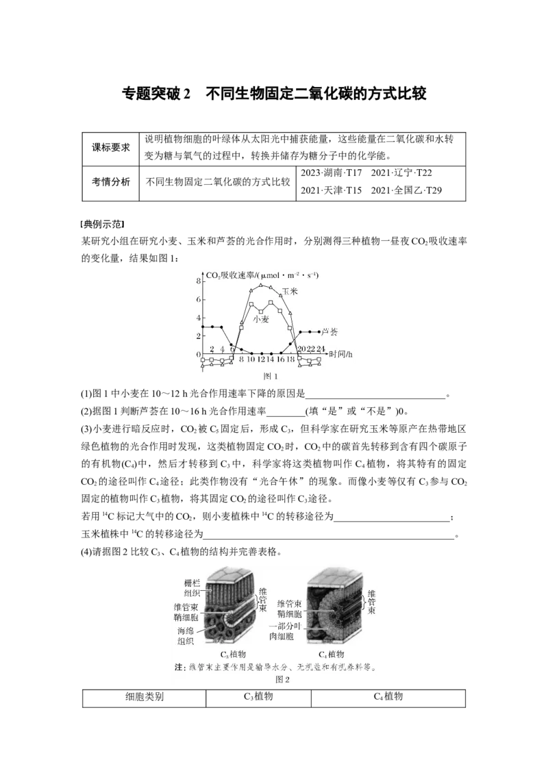 第三单元　专题突破2　不同生物固定二氧化碳的方式比较_2025年新高考资料_一轮复习_2025大一轮复习讲义+课件（完结）_2025大一轮复习讲义生物学生用书Word版文档整书
