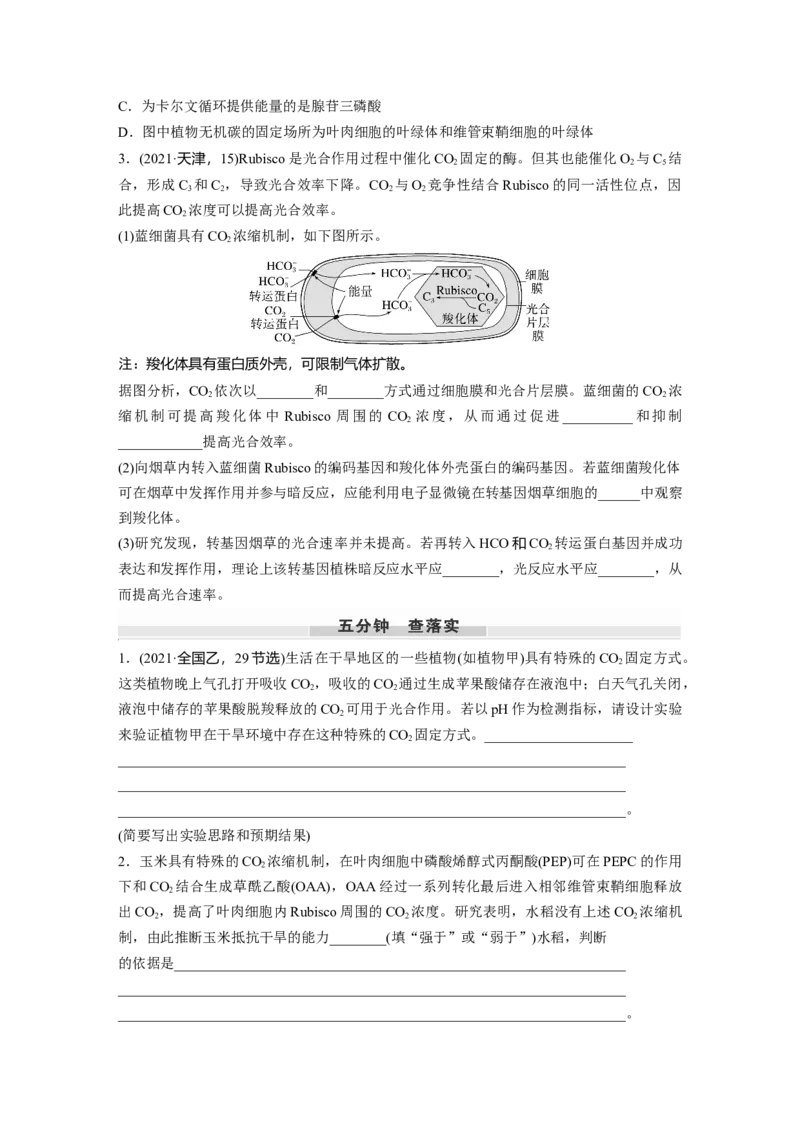 第三单元　专题突破2　不同生物固定二氧化碳的方式比较_2025年新高考资料_一轮复习_2025大一轮复习讲义+课件（完结）_2025大一轮复习讲义生物学生用书Word版文档整书